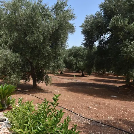 Il Trullo Di Bina Bed and breakfast Pezze Di Greco