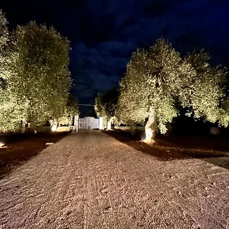 Bed & Breakfast Il Trullo Di Bina Pezze Di Greco